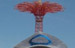 NY_Photo003