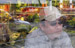 NY_Photo005