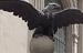 NY_Photo006