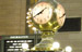 NY_Photo003