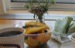 NY_Photo005