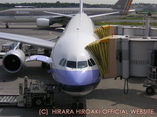 飛行機