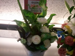 2011-06-18_123710.jpg